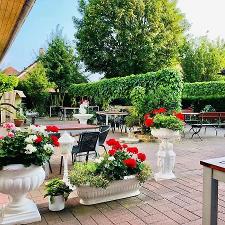 Guest house Doan 3*