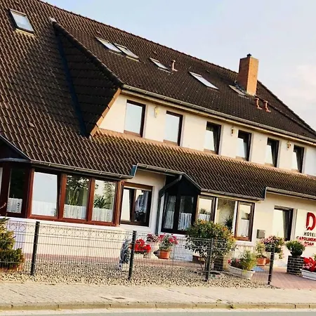 Guest house Doan 3*